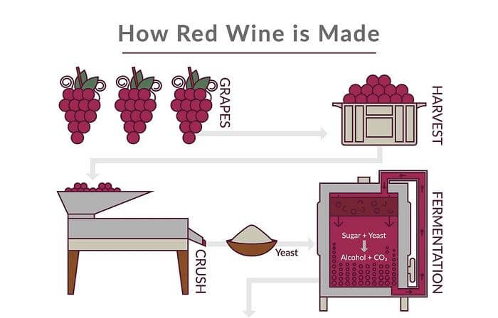 Quy trình tạo ra rượu vang đỏ