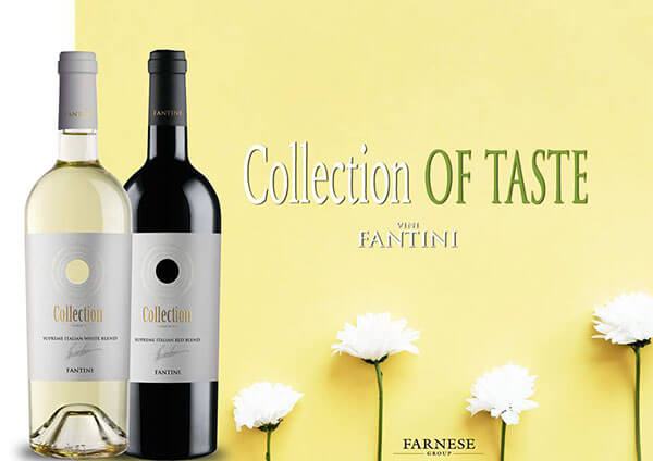 Rượu vang Fantini Collection Red Blend