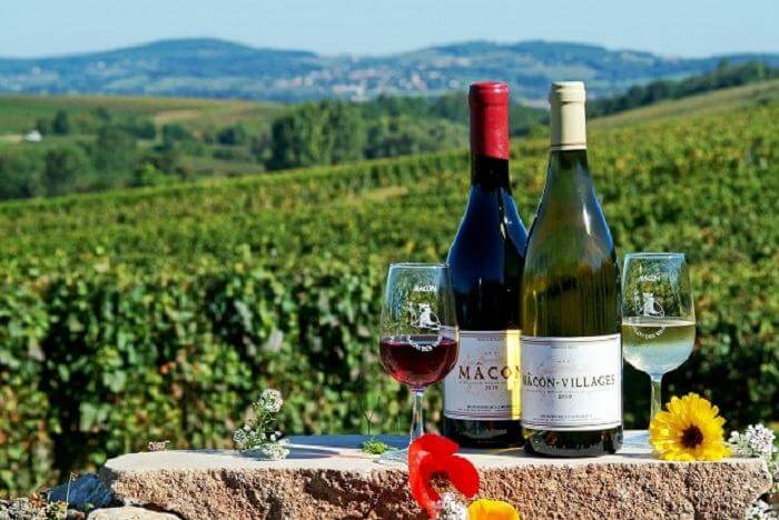 Vùng sản xuất rượu vang Pháp Burgundy